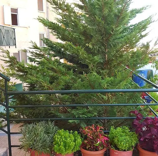 Zeneli Hotel Sarandë