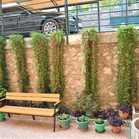 Zeneli * ساراندا