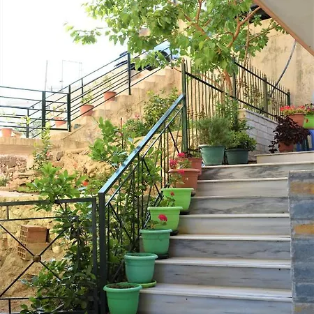 Zeneli ساراندا