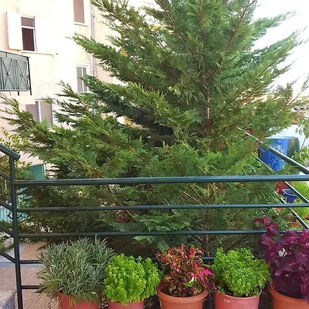 Zeneli Szálloda Saranda